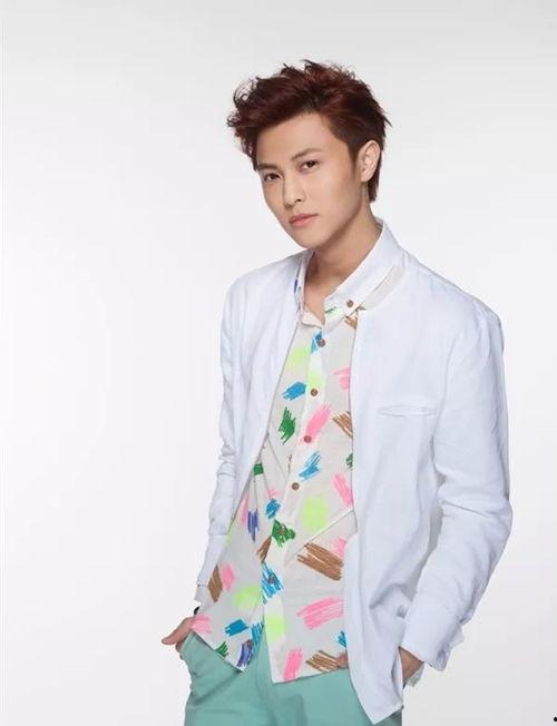 王子邱胜翊个人资料,才华横溢的歌手与演员，多面魅力人生掠影