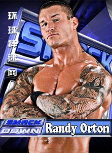 佩姬wwe资料,从摔跤新星到全球巨星之路